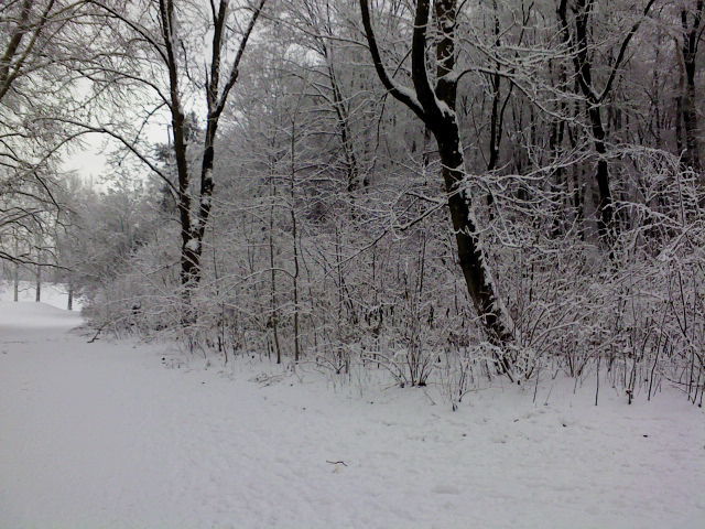 Winter 2