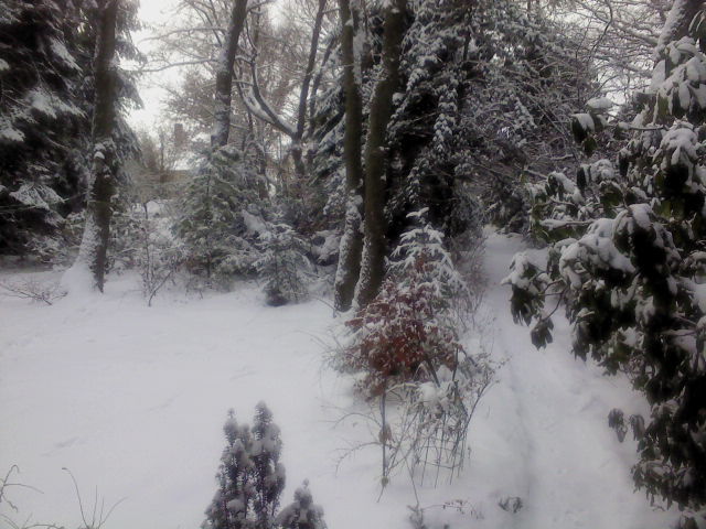 Winter 1