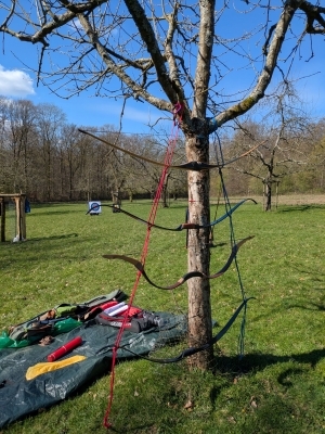 Der BOGENBAUM